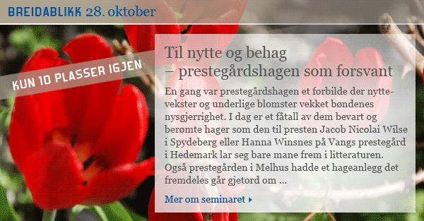 Foto av tulipaner med ingresstekst. Klikk p&aring; lenken for &aring; g&aring; til utfyllende tekst.