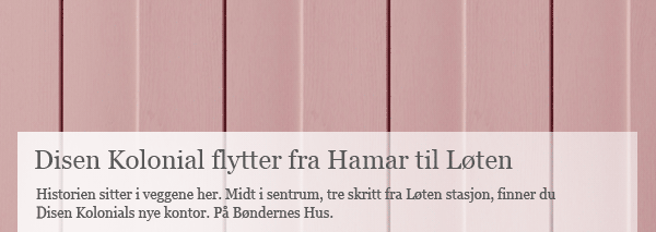 Disen Kolonial flytter fra Hamar til Løten Disen Kolonial flytter fra Hamar til Løten