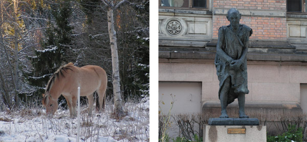 Hvorfor er hesten Gunnar inne i varmen, mens Nationalgalleriet er ute i kulden?