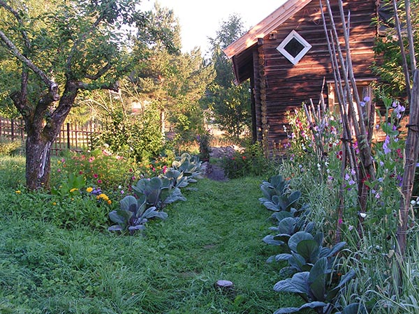 Foto av hagen på husmannsplassen Nordengen.