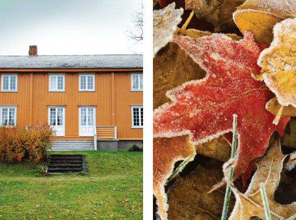 Foto av h&oslash;st i Presteg&aring;rdsl&aring;na