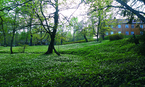 Foto fra parken på Stenberg, Vestre Toten.